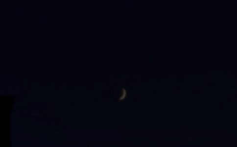 2026�꽛���ܰ���������Z���ŅR��50�l