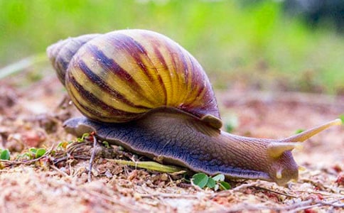 (��)΁ţ����300��3ƪ