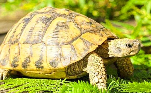 С����50������