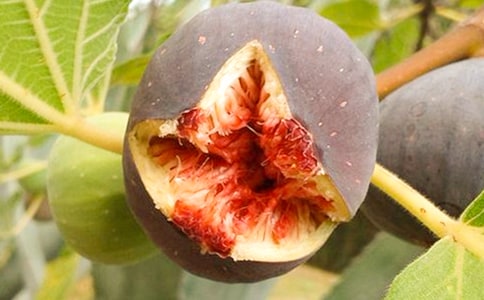 �o�������ģ�ͨ�ã�