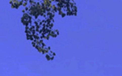 午安心語(yǔ)簡(jiǎn)短帶點(diǎn)幽默