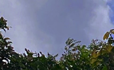 經典唯美午安說說匯總80句