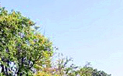 午安心語短信32句