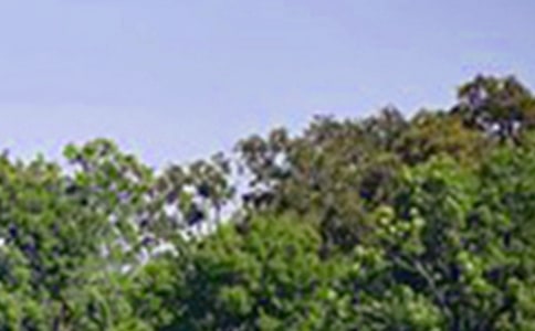 ��(j��ng)���������簲���ţ�ͨ��40�䣩