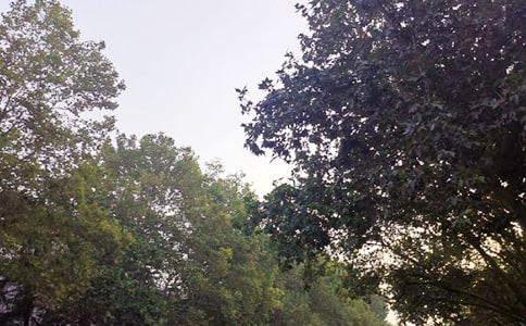 溫馨午安說說40句