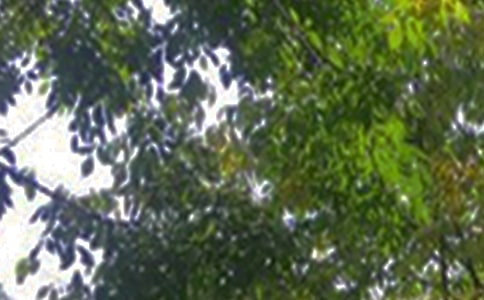 ů���簲���ŅR����ͨ��80�䣩