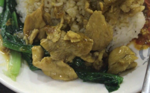 【精選】美味的午餐作文