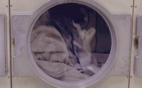 �Нhϴ������