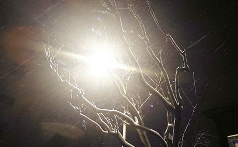 (精華)下雪了作文