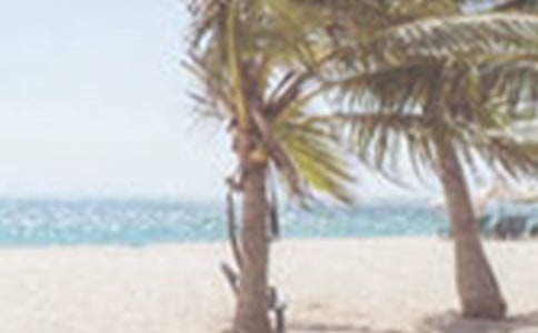 可愛的夏季作文