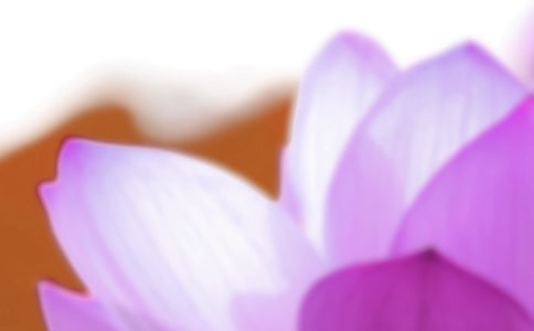 ����ף���Z