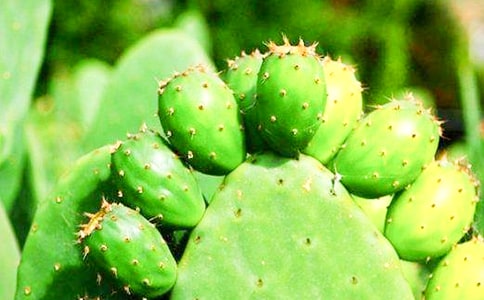 ����������15ƪ����(j��ng)�䣩