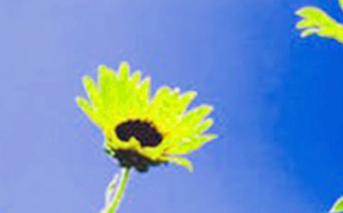 [��(j��ng)��]���տ�����