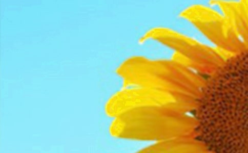 �^�����տ�Ů�����и�