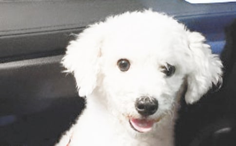 С��������(����)