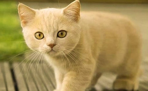 ���õ���Ȥ��С؈����300�օR����ƪ