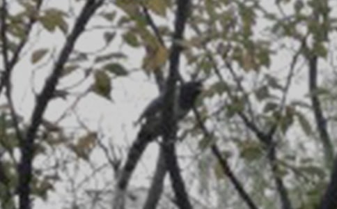 �f�fС�B������Ԓ��������