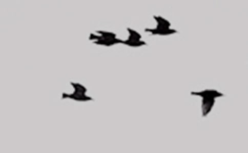 �����T���܂���С�B���D��Ԓ