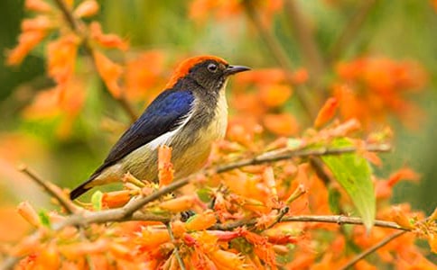 �܂���`С�B���D��Ԓ�؂�[11ƪ]