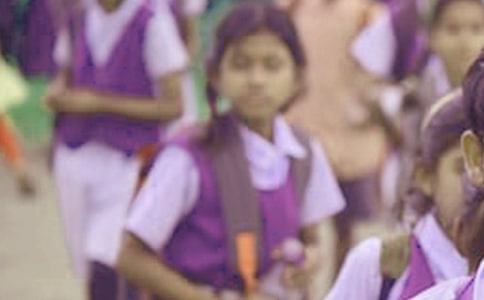 小學生的作文精華(4篇)