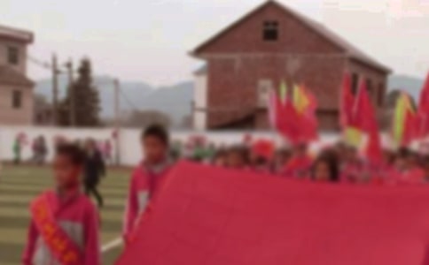 【精華】小學運動會作文合集五篇