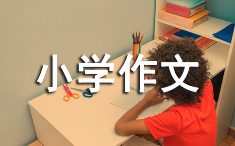 小學作文1000字10篇