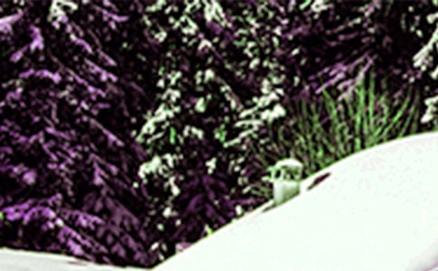 小雪節氣的詩詞句