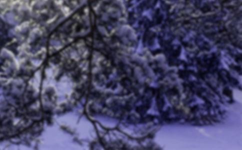 Сѩ��(ji��)��Ě������