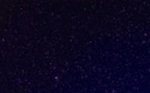 仰望星空腳踏實地作文800字(精選20篇)