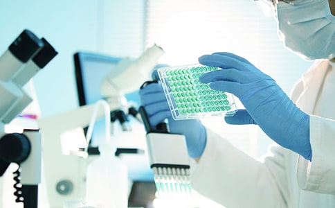 �о��������b�������x4ƪ��