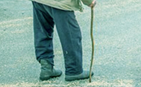 �ҵĠ�����������������800�֣�ͨ��17ƪ��