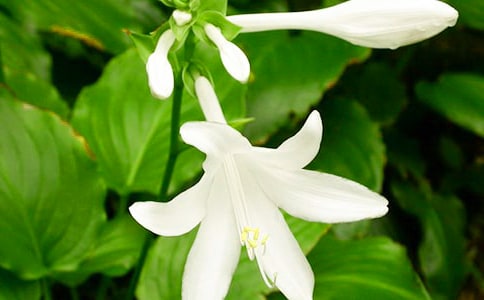 ҹ��������15ƪ����Ʒ��