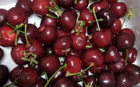 ժ�������ĳ���(15ƪ)