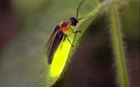 Ξ���x(ch��ng)����