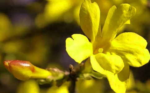 ӭ��������(��(j��ng)��)