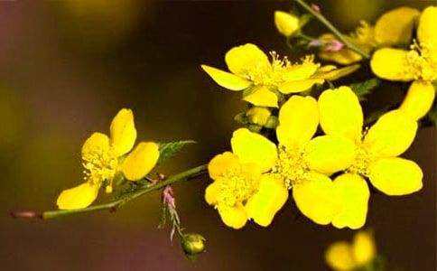 �茑ӭ���������ģ����x68ƪ��