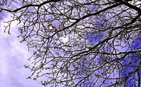 ��ů���簲���Z(y��)����ժ�48��