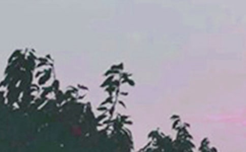 ���x�°��簲���Z����57�l