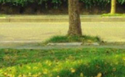 朋友早安問候語短信大集合52條