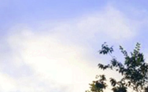 �l�oŮ���ѵ��簲����