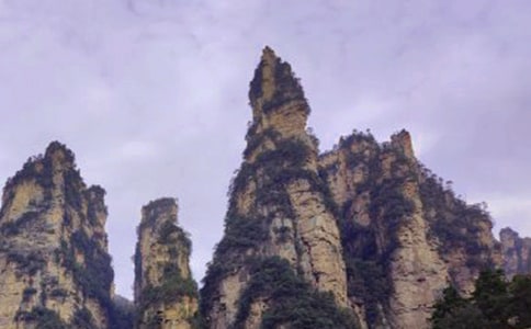 張家界之旅作文250字