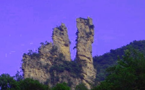 張家界一游作文