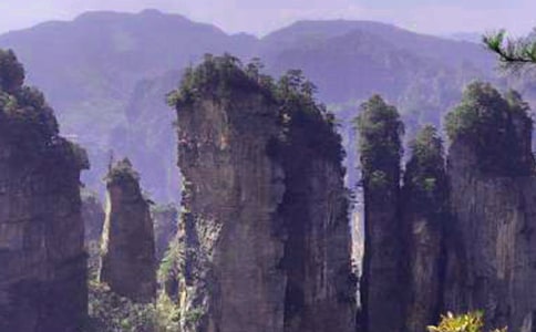 ���ҽ�֮�����ļ��\[13ƪ]