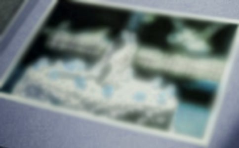 照片優(yōu)秀作文