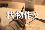【精品】狀物作文集合9篇
