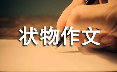 狀物作文500字(精選93篇)