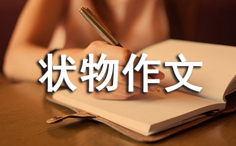 初一狀物作文集錦九篇