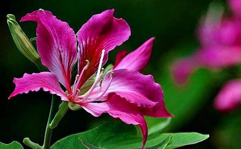 ���G������500�ְ�ƪ