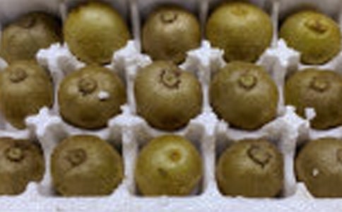 ��B�J���ҵ�����