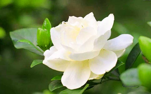 �d�ӻ��_����(���x)